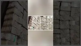 कलेक्टर के घर नोटों का पहाड़!😱​#BreakingNews #CBRaid #Corruption #ViralVideo #Shorts #BigNews #India