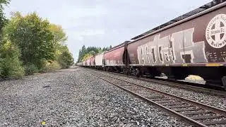 BNSF 6183 on Atchinson Dr  in Olympia WA gran train