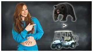 Reacting to r/AnimalsBeingDerps | Megan DeLuca