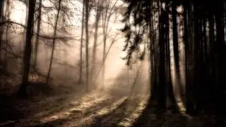 A Very Sad Song - M&uacute;sica Muy Triste - Musique Triste - Sad Violin - Music Sad Violin - Violin Song