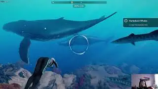 [uncut full playthrough] Beyond Blue