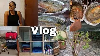 Domingo peixe assado| Desapego grande| Jabuticaba no vaso| Sou este tipo de mãe| #cuidadoscomolar 