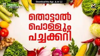 പച്ചക്കറി കിലോയ്ക്ക് 600 രൂപ | Agriculture News | MyFin TV