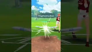 Element cup Pok&eacute;mon go pvp