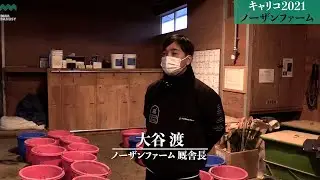 【ベランジェール(キャリコ2021)】_ノーザンファーム現地視察_2022/12/12撮影