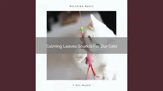 Sea Whispers For Household Cats
