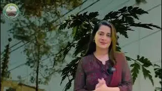 Government Launches 