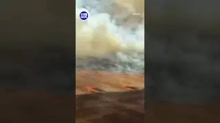 Fire has now been contained after burning over 1000 hectares of land | 9 News Australia