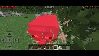My 1st day in my new survival world in Minecraft🎮