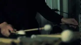 Pagaille dans la volière