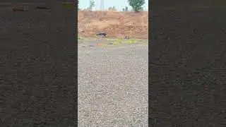 Turkish Precision: One-Handed Long-Range Shot with Monza Rifle. #sniperking #monza #gunreviews