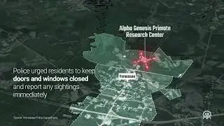 🚨 43 rhesus macaque monkeys escaped from Research Center in South Carolina
