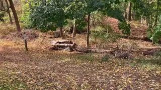 Tarrywile Dog Park
