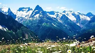 Reduce Stress Instantly on a Beautiful Swiss Mountain Meadow | Relaxing Alpine Nature Sounds