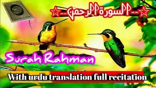 Surah Rahman 💯/ Most beayoutiful Recitation Of Surah Rahman Mejorety (#surahrahman)