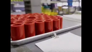 Process for Predictability