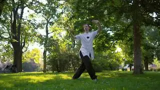 Taoist Cultivation: Wu Xing Qi Gong - Master Ziji talks about Nei Gong Internal Alchemy #Qigong
