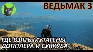 Ведьмак 3 - Вопрос-Ответ - Где взять мутагены допплера и суккуба