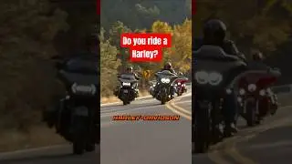 HARLEY RIDERS LISTEN UP! #roadskulls #straightshooter #harleydavidson