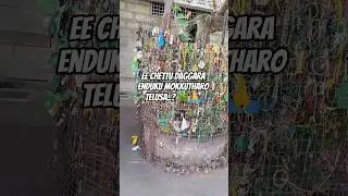 Ee chettu deggara enduku mokkutharo telusa? 🌿🙏#Shorts#YTShorts#YouTubeShorts#Viral#DSVillageVibes