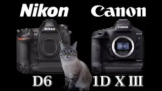Nikon D6 vs Canon EOS-1D X Mark III