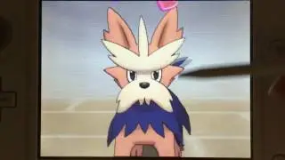 Pokemon Sun | Herdier | Pokemon Refresh