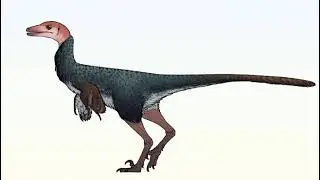 New Dinosaur Species Discovered in Mexico: Evidence of Head-Butting Combat