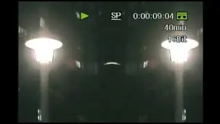 Mirror Trees - MiniDV Recording
