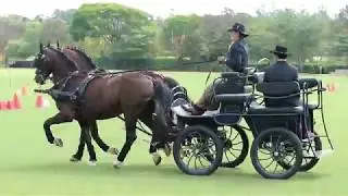 Atrelagem no Helvetia Polo - Indaiatuba