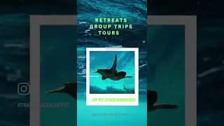 welcome to Travel Hub Collective #travelhubcollective #travel #travelhub