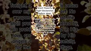 Silent powerful night declaration before sleep [short declaration] #fyp #shorts