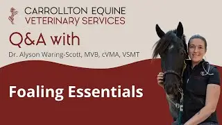 Foaling Fundamentals
