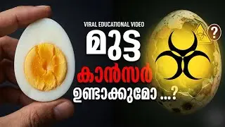 Eggoz Egg Controversy Explained 🔴 | Is It Safe to Eat Eggs? AOZ, Nitrofurans & Truth -Vet explains