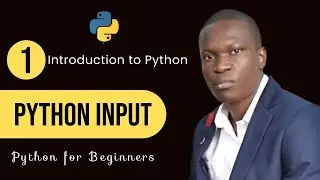 A Python Program that Accepts User Input and Prints the Input