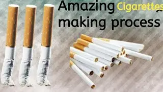 How Cigarettes Are Made | Inside the Manufacturing Process