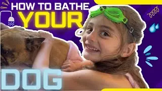 Pawsitively Clean: Super Fun Doggy Spa! Learn How to Bathe Your Pooch in a Few Easy Steps!