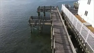 December Fishing On The 9th Street Pier For Anything In Ocean City Maryland  #fishing #oceancitymd