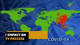 What are the key considerations when investing in commodities and precious metals