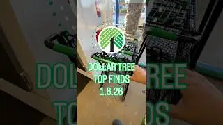 СКОРЕЕ В ДОЛЯРНЫЙ МАГАЗИН ЗА ЭТИМИ ВЕЩАМИ ✨💚 #dollartree #shopping #new #fyp
