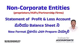 How to prepare a #balancesheet  and statement of #profitandloss account for Non Corporate entities