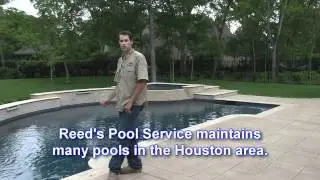 Reed's easy pool maintenance