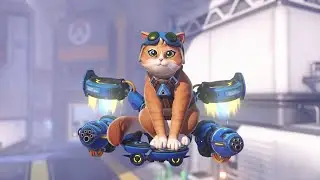 🔴 LAST DAY BEFORE JETPACK CAT 🔴 DROPS ON TWITCH 🔴