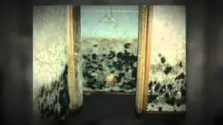 mold inspection