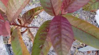 আসেন কুশল বিনিময় করি।