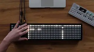 Polyend Seq - Chords, Scales and Transpose