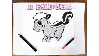How To Draw A Badger for Beginners 🦡