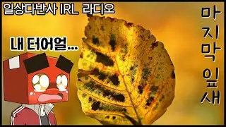마지막 잎새, 나의 10년동안 기른 12cm의 **가 떨어지면 죽는 날이다. (Twitch IRL Radio) - 홍방장