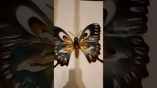 Cute Authentic Butterfly 🦋 Wall Decoration | Room Decor Ideas 💡 |