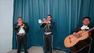 Diséñame – Romántica Interpretación de Mariachi Coyoacán (Joan Sebastian)