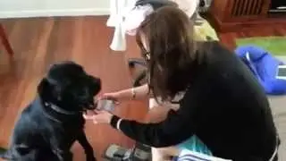 Best At-Home Marriage Proposal Ideas